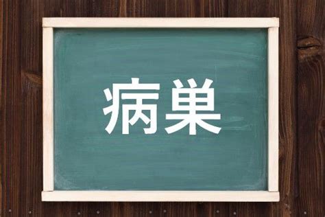 病巢 意味|「病巣・病竈」（びょうそう）の意味